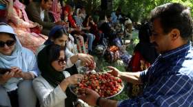 نخستین جشنواره توت فرنگی در کردستان  <img src="/images/picture_icon.gif" width="16" height="13" border="0" align="top">