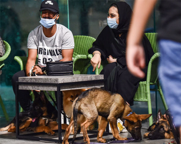 تصاویر اولین کافه سگها در عربستان