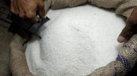 تبدیل ۳۵ هزار تن شکر خام به شکر سفید