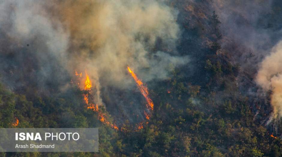 مهار آتش‌سوزی جنگل‌های «دیل»