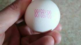 فقط  تخم‌مرغ نگهداری شده در یخچال بخرید