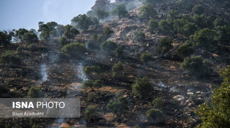 آتش سوزی جنگلهای نارک ادامه دارد