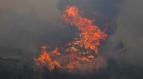 آتش سوزی مهیب جنگلهای یونان