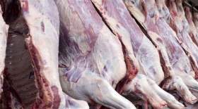 قیمت گوشت قرمز گوسفندی امروز 6 تیر