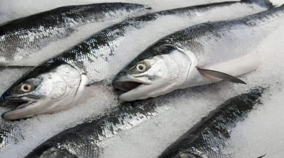 قیمت انواع ماهی در ۳ مرداد ۱۴۰۱