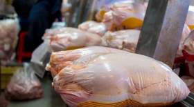 قیمت انواع مرغ در ۵ مرداد ۱۴۰۱