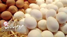 آخرین قیمت تخم مرغ در میادین اعلام شد
