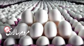 مقصر گرانی تخم مرغ کیست؟