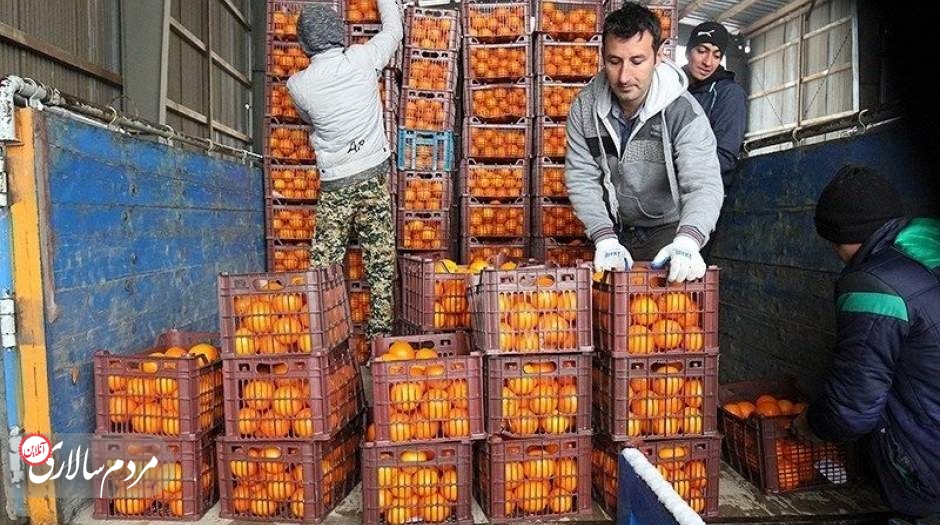 شکست دولت رئیسی در کنترل قیمت میوه نوروز ۱۴۰۲