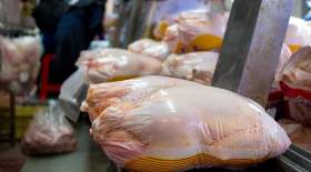 افزایش قیمت مرغ بعد از عید فطر
