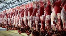 چالش گوشت وارداتی از کشورهای ناشناس