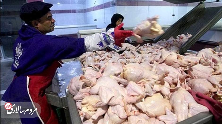 علت گران شدن قیمت مرغ مشخص شد