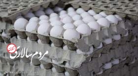  قیمت تخم مرغ در بازار ۴ هزار تومان افزایش یافت