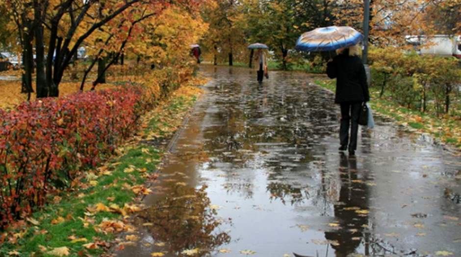 آخرین پیش‌بینی‌ها از وضعیت بارندگی‌های پاییز و زمستان