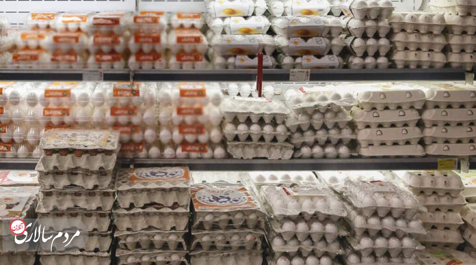 جدیدترین قیمت تخم مرغ محلی و بسته بندی در بازار