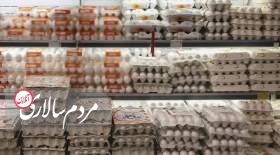 جدیدترین قیمت تخم مرغ محلی و بسته بندی در بازار