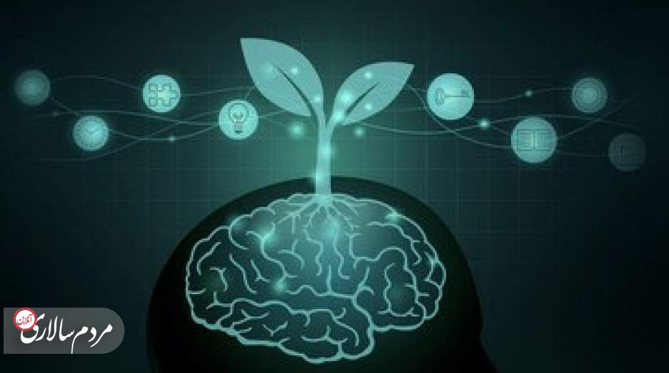 شش تکنیک برای تقویت عملکرد مغز