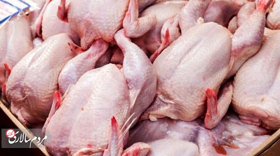قیمت گوشت مرغ امروز ۱۹ دی ۱۴۰۲