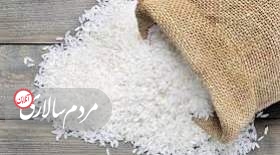 تکذیب هرگونه فساد در وارادات برنج