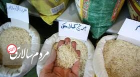 قیمت برنج پاکستانی از ایرانی گرانتر شد! + جدول برندهای پرفروش