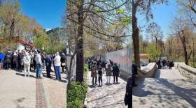 تجمع اعتراضی مردم در پارک لاله علیه زاکانی؛ مخالفت‌ها با قطع درختان  <img src="/images/video_icon.gif" width="16" height="13" border="0" align="top">