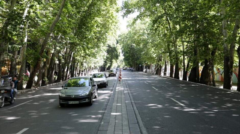 جریمه میلیاردی برای مالک متخلفی که درختان خیابان ولیعصر را خشک می‌کرد