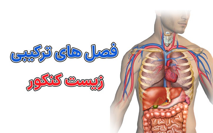 فصل های ترکیبی زیست دهم، یازدهم و دوازدهم